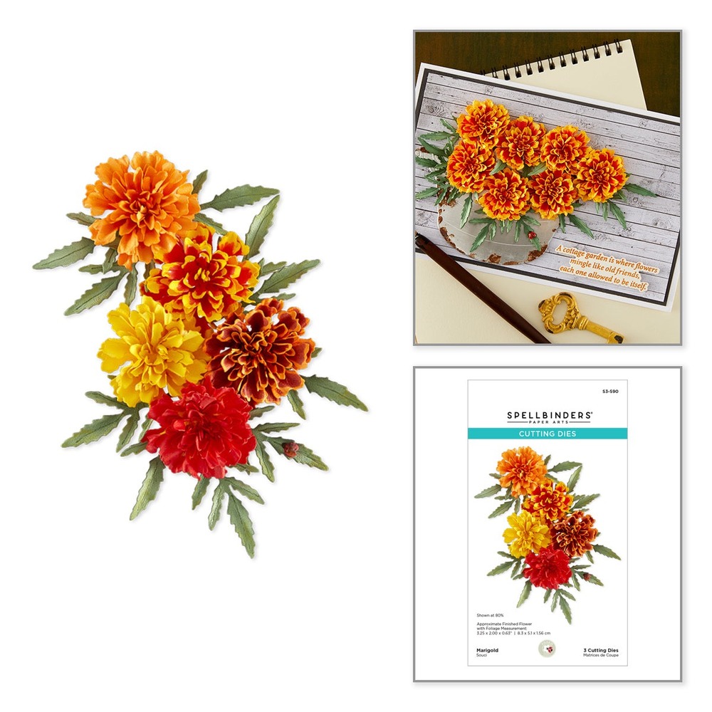Spellbinders 萬壽菊立體花朵刀模組 Marigold