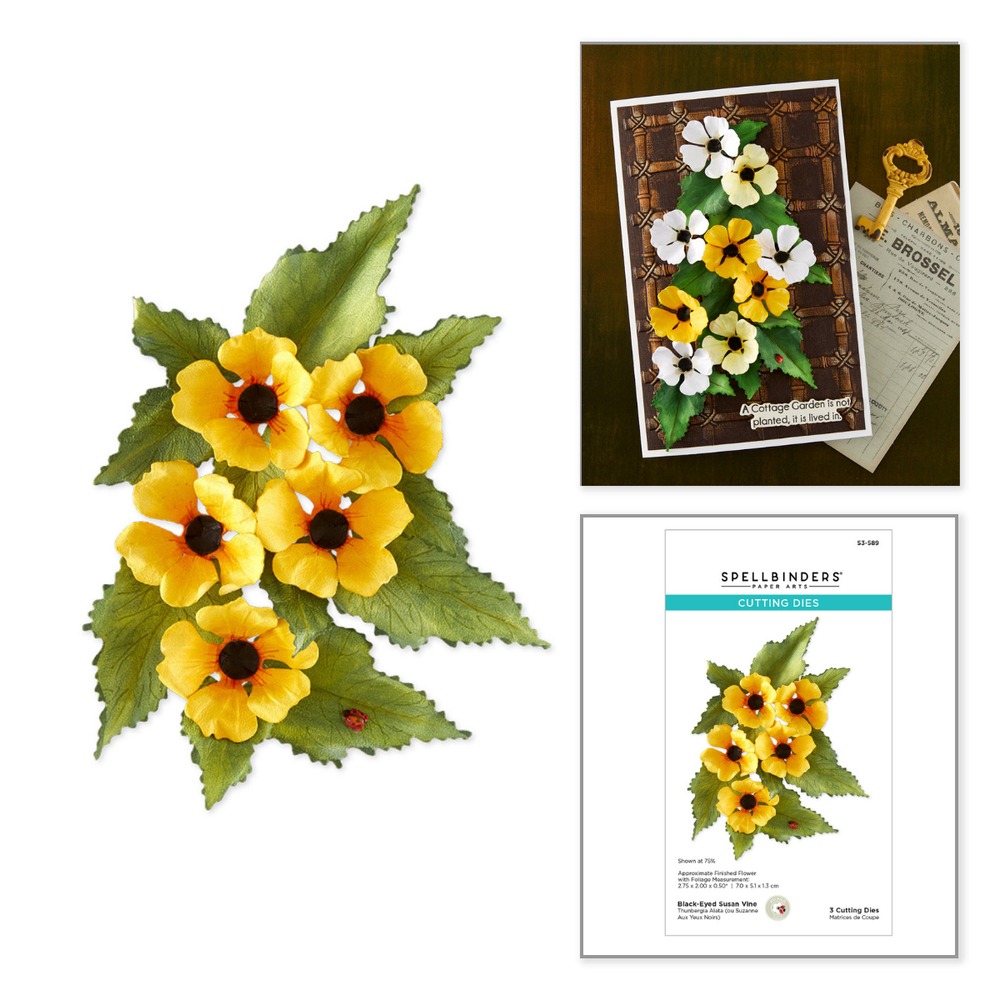 Spellbinders 黑眼蘇珊藤立體花朵刀模組 Black-Eyed Susan Vine