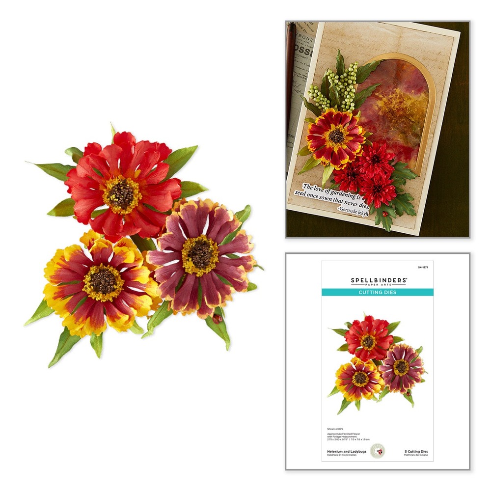 Spellbinders 堆心菊與瓢蟲立體花朵刀模組 Helenium and Ladybugs