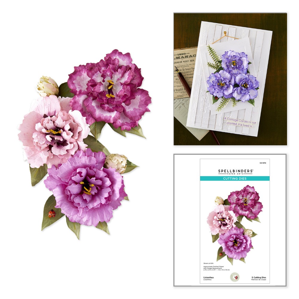 Spellbinders 洋桔梗立體花朵刀模組 Lisianthus