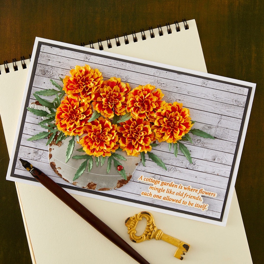 Spellbinders 萬壽菊立體花朵刀模組 Marigold
